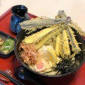 なす天ぷらうどん - 実際訪問したユーザーが直接撮影して投稿した平田町蛇池うどんはまうず商店の写真のメニュー情報
