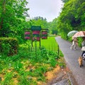 実際訪問したユーザーが直接撮影して投稿した大野台植物園 / 樹木園ドリプレ・ローズガーデンの写真