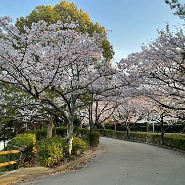 白水大池公園のundefinedに実際訪問訪問したユーザーunknownさんが新しく投稿した新着口コミの写真