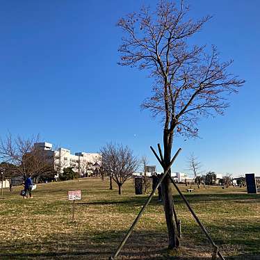 大森ふるさとの浜辺公園のundefinedに実際訪問訪問したユーザーunknownさんが新しく投稿した新着口コミの写真