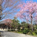 実際訪問したユーザーが直接撮影して投稿した鐺山町カフェCAFE UNEの写真