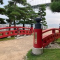 実際訪問したユーザーが直接撮影して投稿したみもすそ川町橋みもすそ川橋の写真