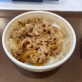 牛丼ミニ - 実際訪問したユーザーが直接撮影して投稿した鶴里町牛丼すき家 鶴里駅南店の写真のメニュー情報