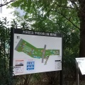 実際訪問したユーザーが直接撮影して投稿した平和の森公園公園平和の森公園の写真