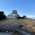 実際訪問したユーザーが直接撮影して投稿した掛川城 / 城跡掛川城公園の写真