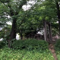 実際訪問したユーザーが直接撮影して投稿した谷中公園しょうぶ沼公園の写真