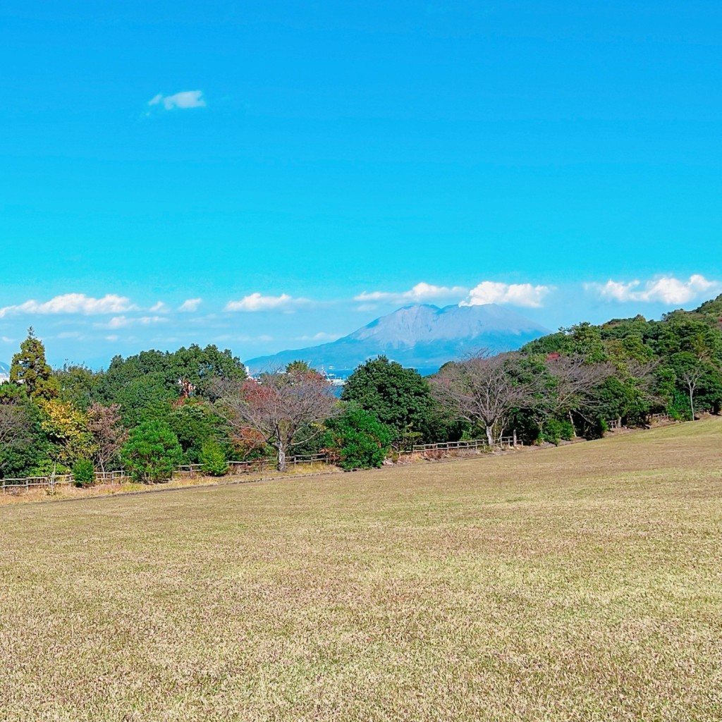 実際訪問したユーザーが直接撮影して投稿した平川町公園錦江湾公園の写真