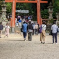 実際訪問したユーザーが直接撮影して投稿した春日野町神社春日大社の写真