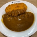 ポークカレー - 実際訪問したユーザーが直接撮影して投稿した橋本カレーカレーハウスCoCo壱番屋 JR橋本駅北口店の写真のメニュー情報