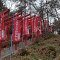 実際訪問したユーザーが直接撮影して投稿した神社草津穴守稲荷神社の写真