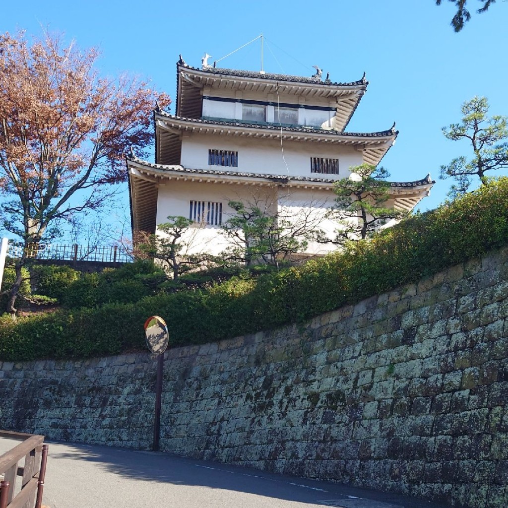 実際訪問したユーザーが直接撮影して投稿した城内歴史 / 遺跡西の櫓の写真