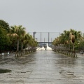 実際訪問したユーザーが直接撮影して投稿した舞浜公園浦安市舞浜運動公園の写真