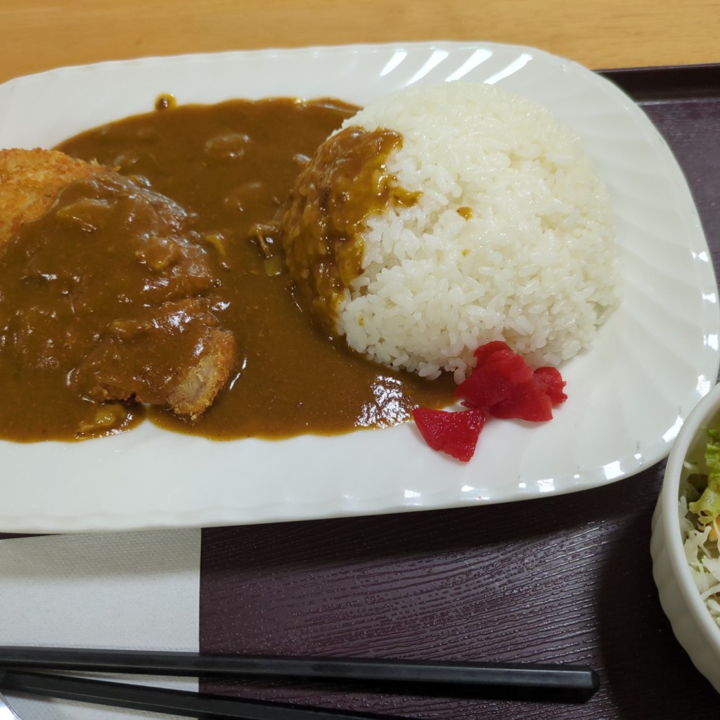 ユーザーが投稿したカツカレーの写真 - 実際訪問したユーザーが直接撮影して投稿した栄町定食屋かささぎの写真