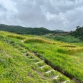 実際訪問したユーザーが直接撮影して投稿した白米町景勝地 / 百選白米千枚田の写真