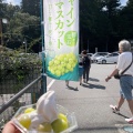 実際訪問したユーザーが直接撮影して投稿した一宮町須行名道の駅道の駅 播磨いちのみやの写真