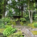 実際訪問したユーザーが直接撮影して投稿した山ノ内寺浄智寺の写真