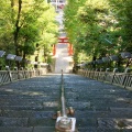 実際訪問したユーザーが直接撮影して投稿した愛宕神社愛宕神社の写真