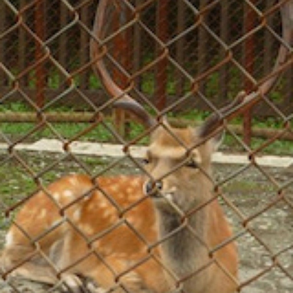 実際訪問したユーザーが直接撮影して投稿した志文町公園いわみざわ公園の写真