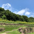 実際訪問したユーザーが直接撮影して投稿した新庄植物園 / 樹木園やまぐちフラワーランドの写真