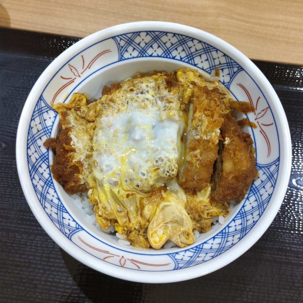 ユーザーが投稿したひれかつ丼の写真 - 実際訪問したユーザーが直接撮影して投稿した大塚町定食屋かつ丼と天丼のかつてんゆめタウン出雲店の写真