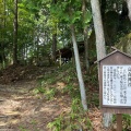 実際訪問したユーザーが直接撮影して投稿した苗木神社高森神社の写真