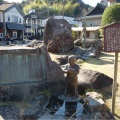 実際訪問したユーザーが直接撮影して投稿した修善寺公園独鈷の湯公園の写真
