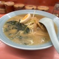 ネギラーメン - 実際訪問したユーザーが直接撮影して投稿した松原町ラーメン / つけ麺ラーメンショップ マルキチェーン拝島店の写真のメニュー情報