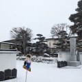 実際訪問したユーザーが直接撮影して投稿した大正本町本通寺大昭寺の写真