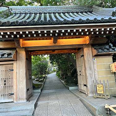 かつかつ2400さんが投稿した浄明寺寺のお店報国寺/ホウコクジの写真