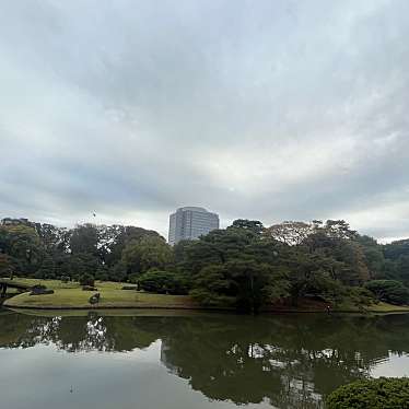 実際訪問したユーザーが直接撮影して投稿した本駒込庭園六義園 藤代峠の写真