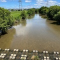 実際訪問したユーザーが直接撮影して投稿した河川境川の写真