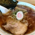 実際訪問したユーザーが直接撮影して投稿した清住町ラーメン / つけ麺麺屋 はやさかの写真