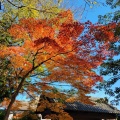 実際訪問したユーザーが直接撮影して投稿した膳所神社膳所神社の写真