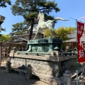 実際訪問したユーザーが直接撮影して投稿した康生町神社龍城神社の写真