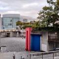 実際訪問したユーザーが直接撮影して投稿した茅ケ崎中央公園すきっぷ広場の写真