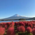 実際訪問したユーザーが直接撮影して投稿した大石花のきれいなスポット大石公園の写真