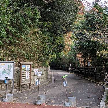 実際訪問したユーザーが直接撮影して投稿した東須磨公園神戸市立須磨離宮公園の写真