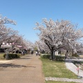 実際訪問したユーザーが直接撮影して投稿した三谷町公園木場潟公園の写真