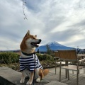 実際訪問したユーザーが直接撮影して投稿した大石カフェOISHI PARK CAFEの写真