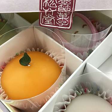 実際訪問したユーザーが直接撮影して投稿した田中町和菓子フルーツ餅 松竹堂 神戸店の写真