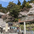 実際訪問したユーザーが直接撮影して投稿した早崎町島竹生島の写真