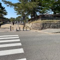 実際訪問したユーザーが直接撮影して投稿した登大路町寺興福寺の写真