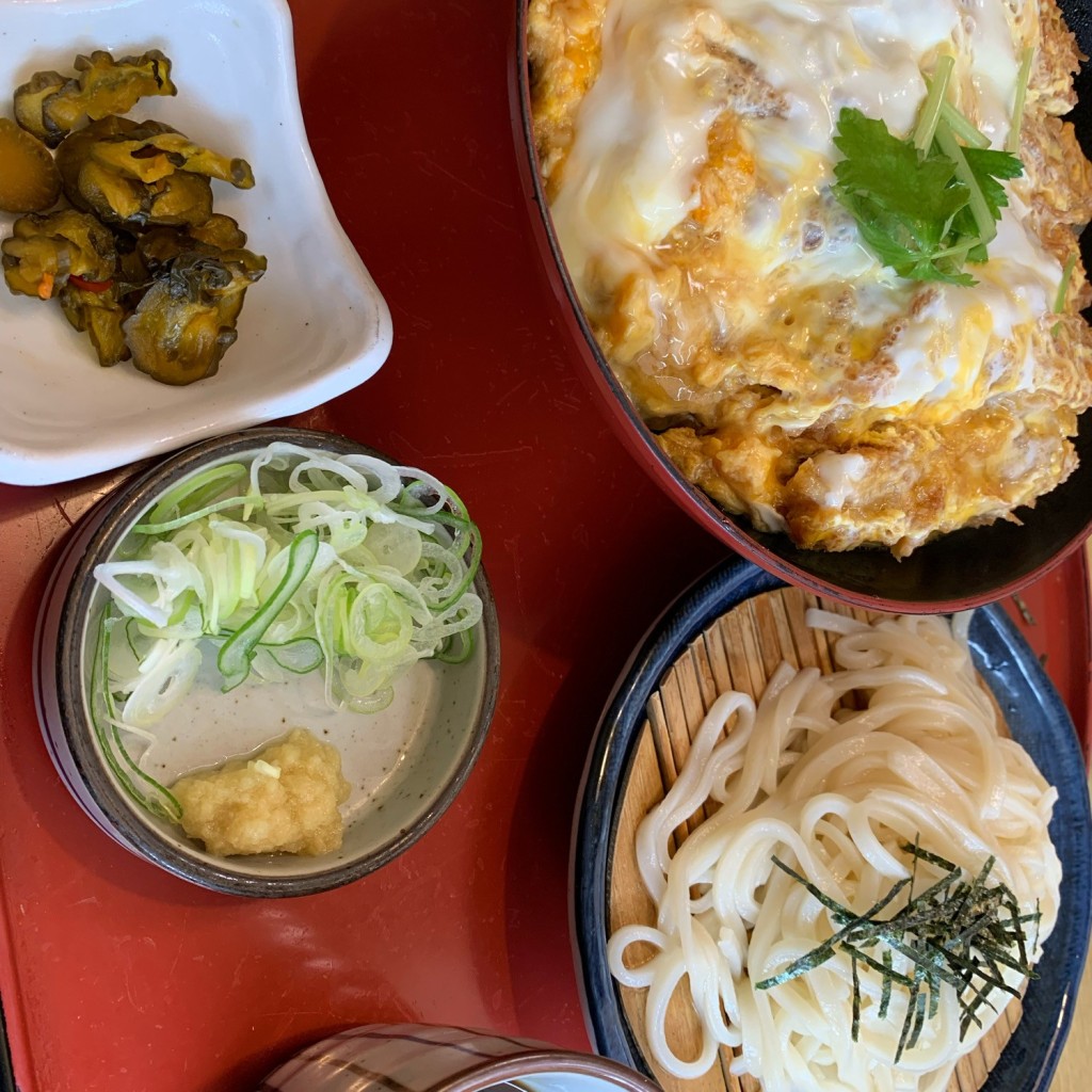 ユーザーが投稿したかつ丼と麺の写真 - 実際訪問したユーザーが直接撮影して投稿した新家和食 / 日本料理和食麺処サガミ 千音寺店の写真