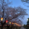 実際訪問したユーザーが直接撮影して投稿した丸の内公園町公園芦城公園の写真