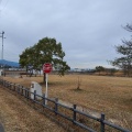 実際訪問したユーザーが直接撮影して投稿した野田公園三泗公園の写真