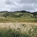 実際訪問したユーザーが直接撮影して投稿した川上高原砥峰高原の写真