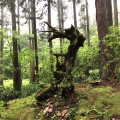 実際訪問したユーザーが直接撮影して投稿した入四間町神社御岩神社の写真