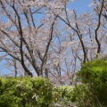 実際訪問したユーザーが直接撮影して投稿した下滝野公園兵庫県立播磨中央公園の写真