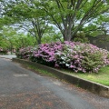 実際訪問したユーザーが直接撮影して投稿した岩田町公園岩田運動公園の写真