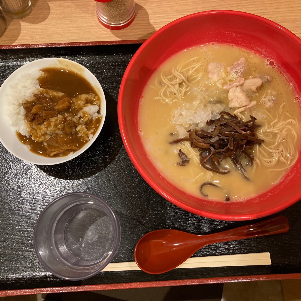 ユーザーが投稿したあっさり鶏白湯ラーメンの写真 - 実際訪問したユーザーが直接撮影して投稿した鉄鋼通りラーメン専門店鶏白湯 美富の写真